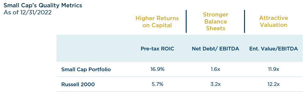 Small Cap's Quality Metrics