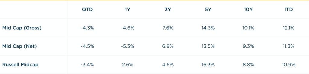 Mid Cap - 1Q2025 vs. RMC Annualized Returns